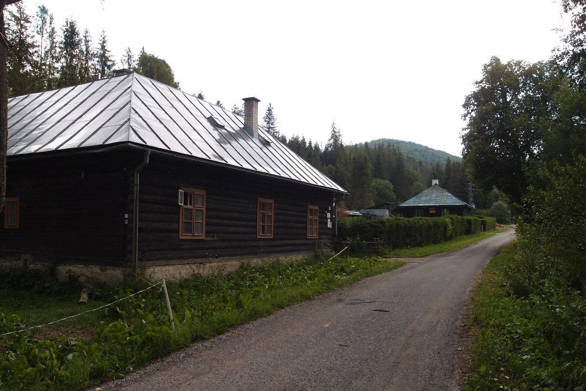 img00017.jpg