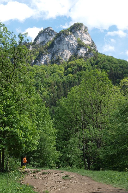 img00004.jpg