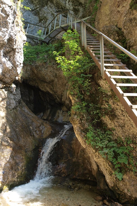 img00006.jpg