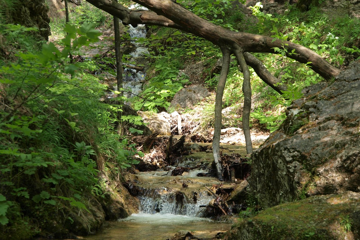 img00009.jpg