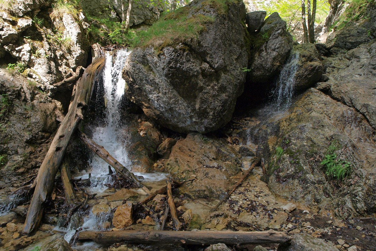 img00010.jpg