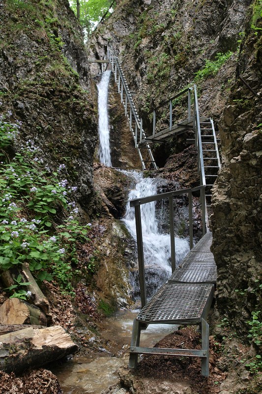 img00013.jpg