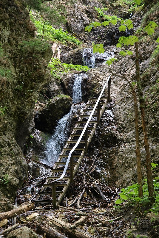 img00014.jpg