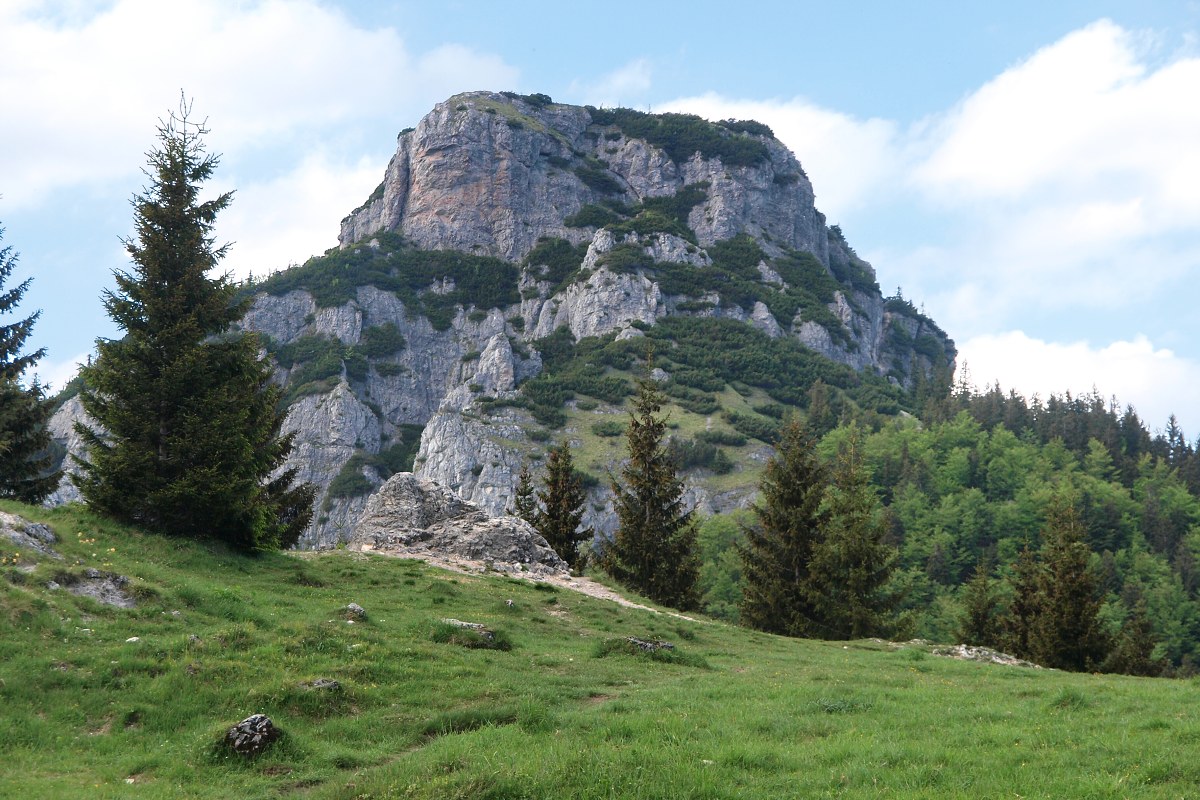 img00017.jpg