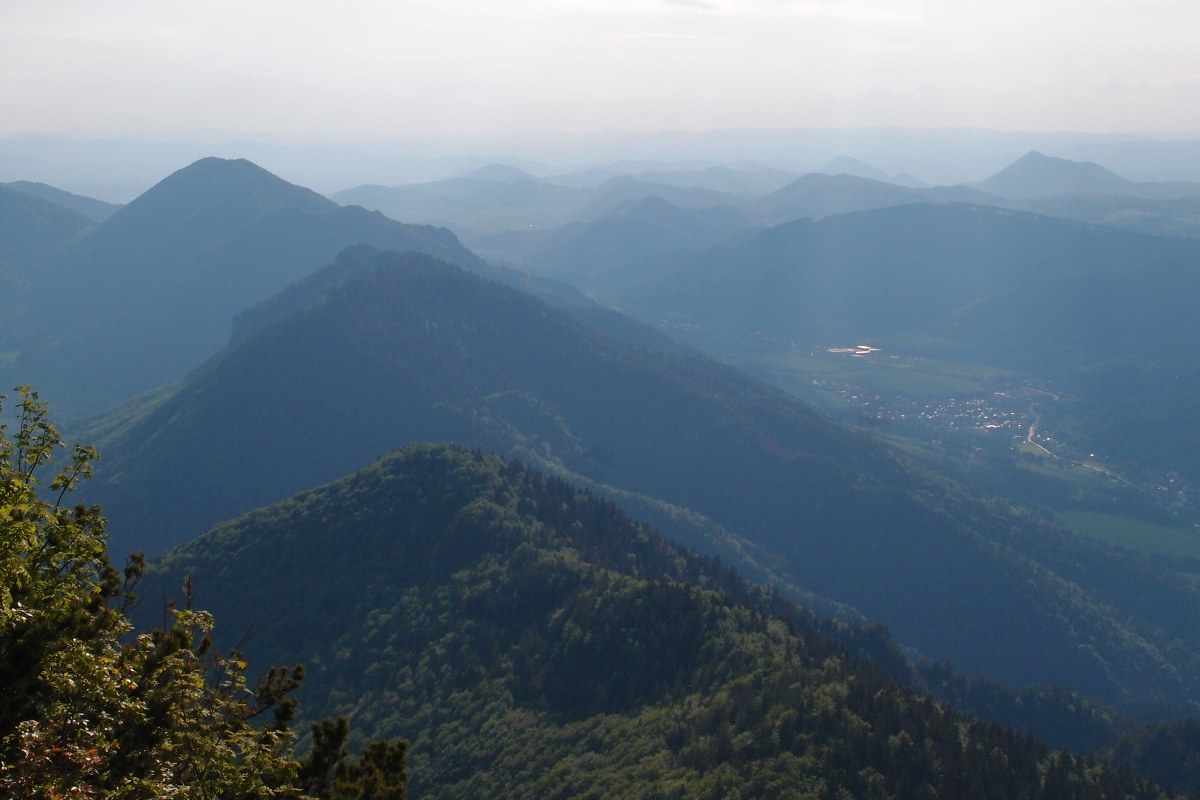 img00021.jpg