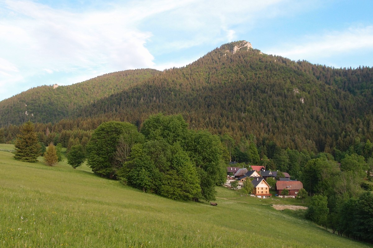 img00025.jpg