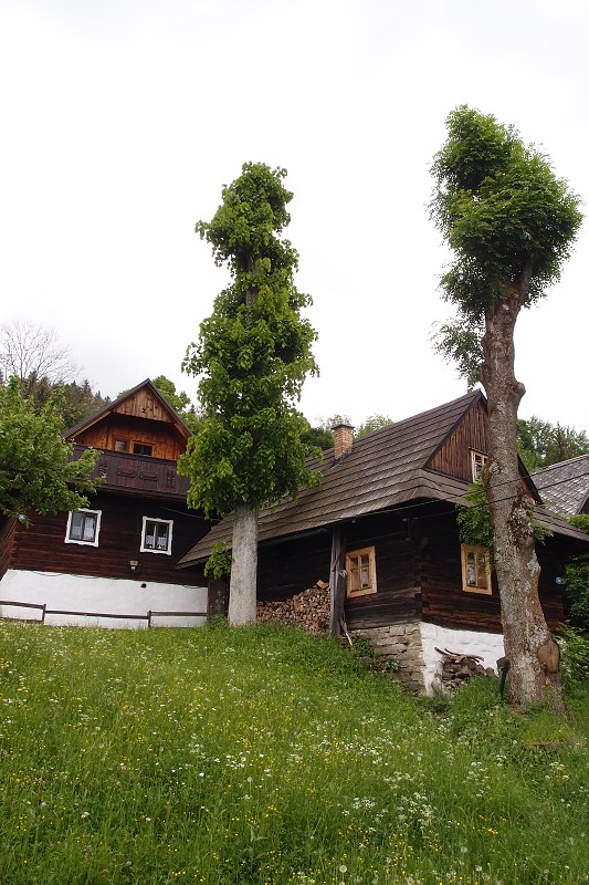 img00010.jpg