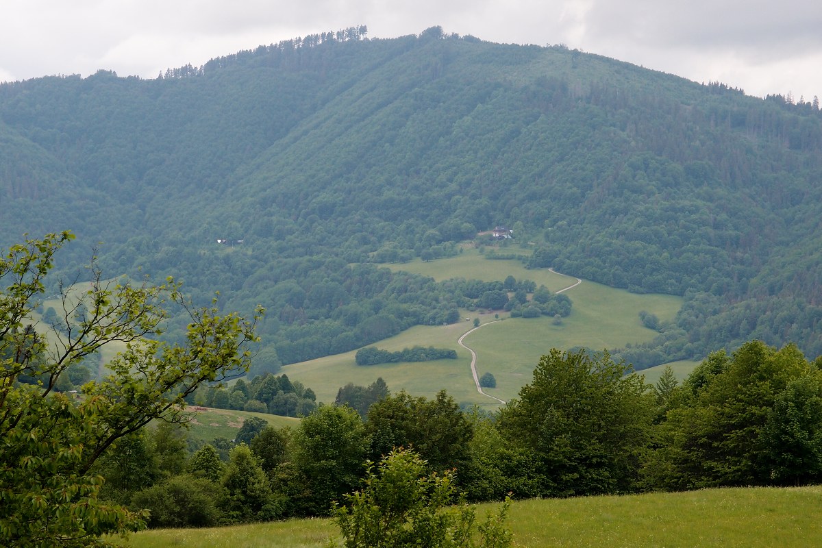 img00011.jpg