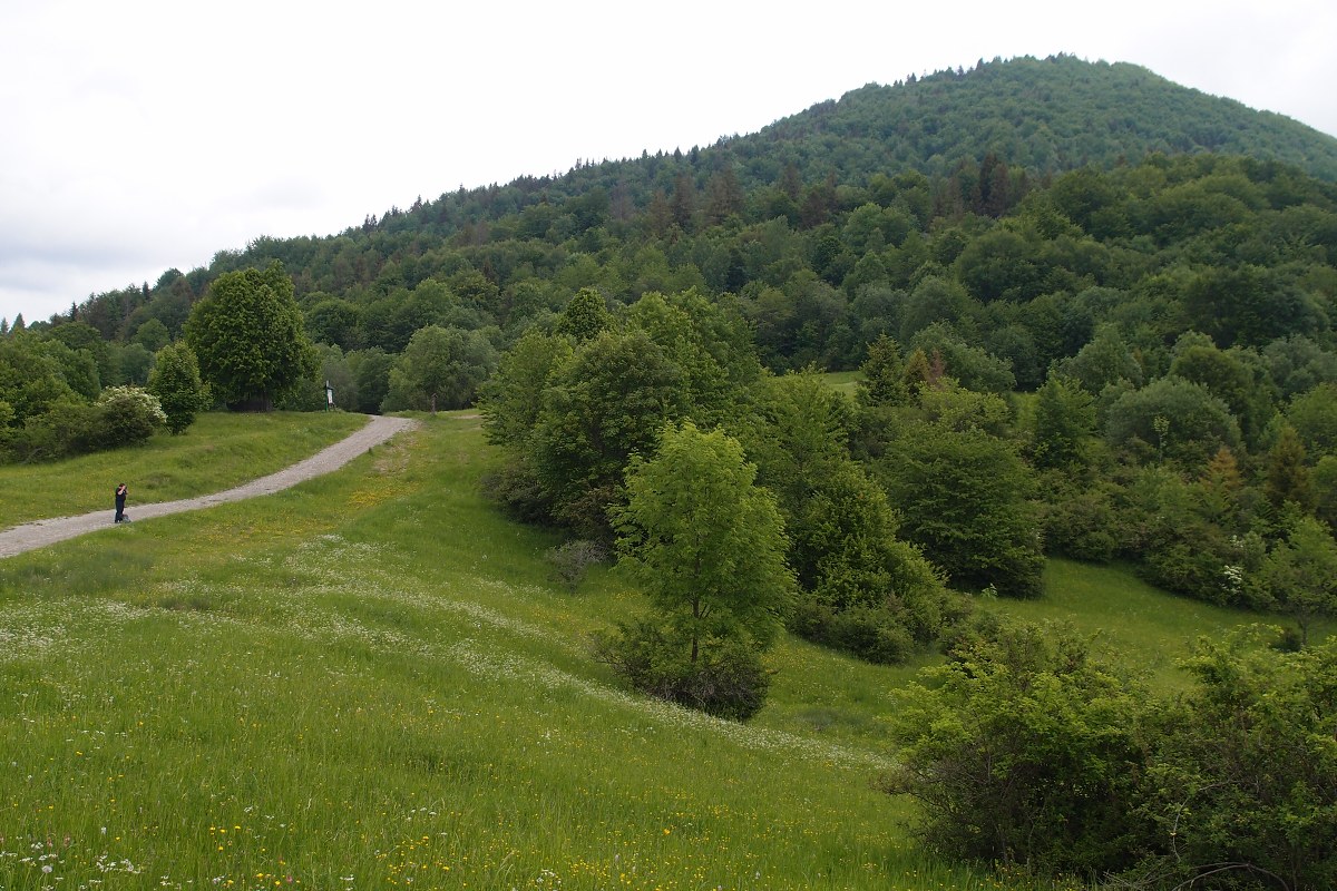 img00013.jpg