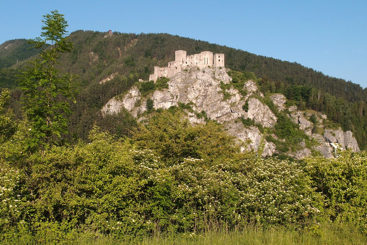 img00001.jpg