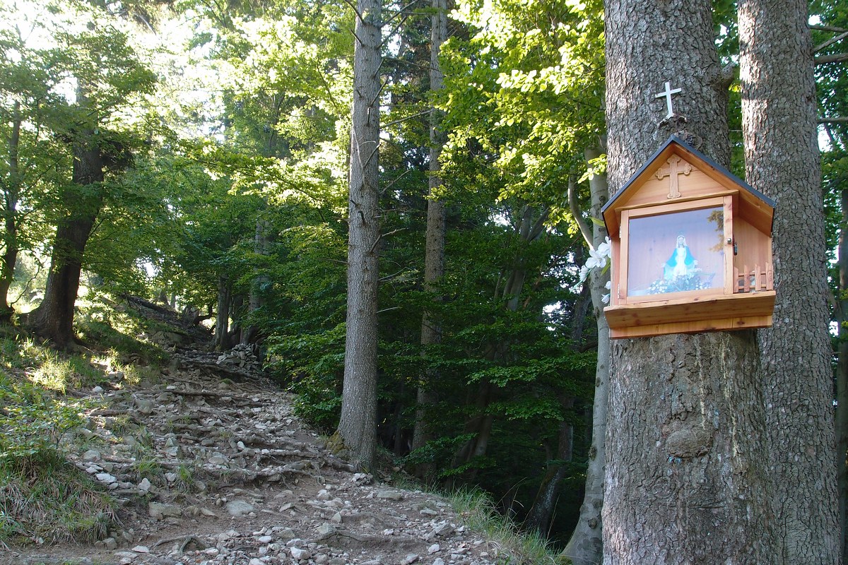 img00004.jpg
