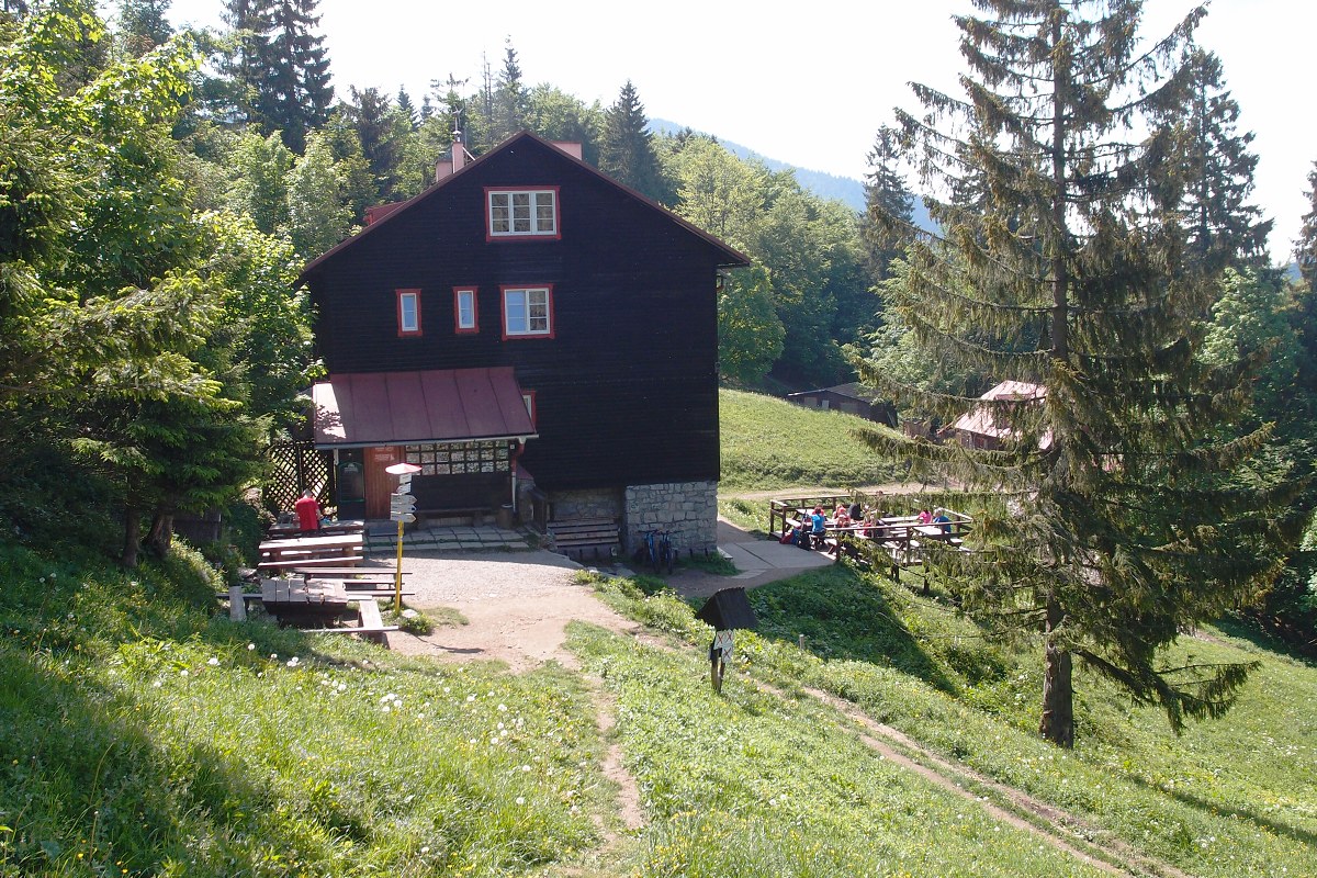 img00005.jpg