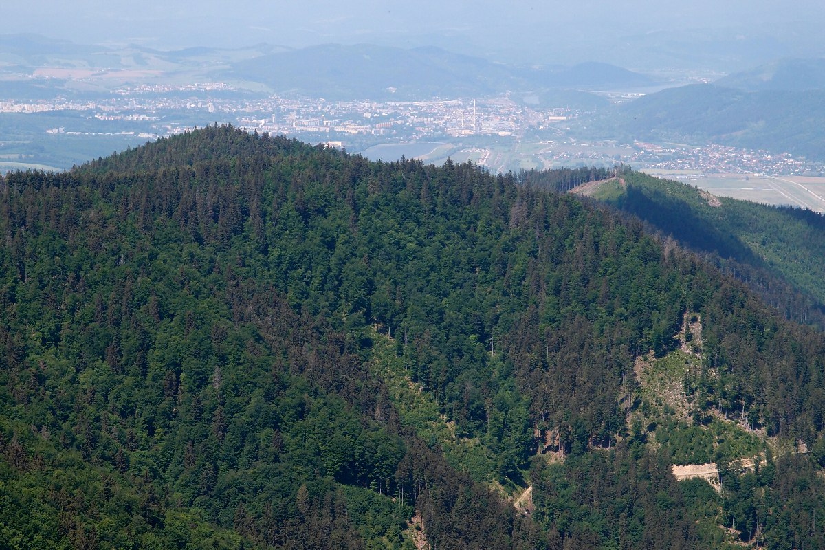 img00007.jpg
