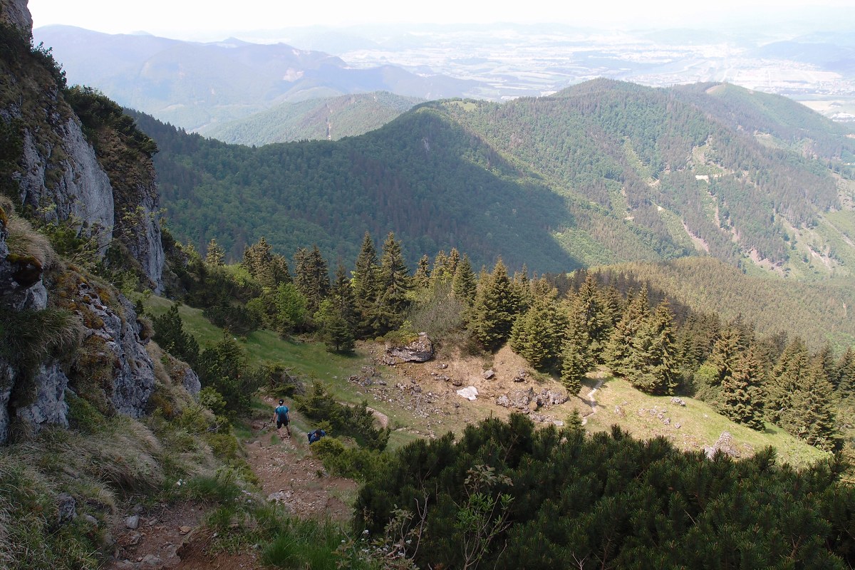 img00008.jpg