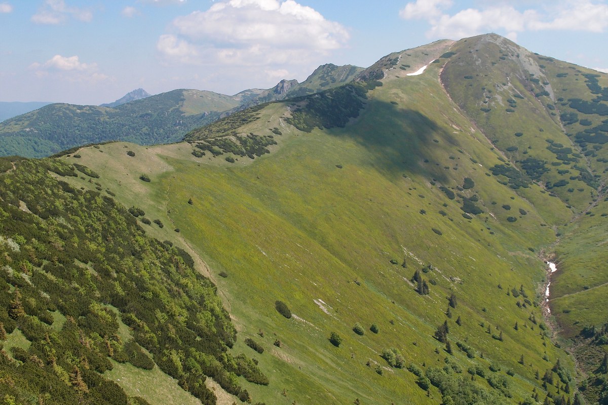 img00010.jpg
