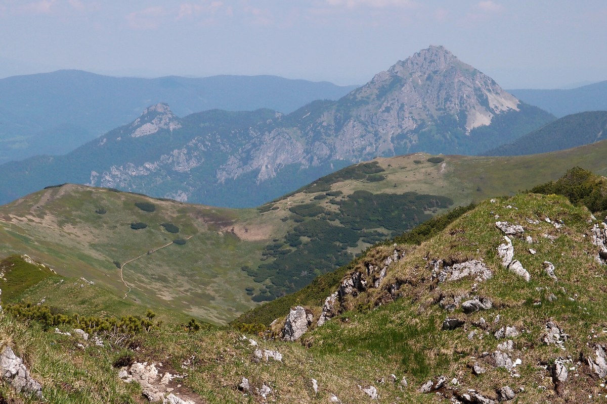 img00014.jpg