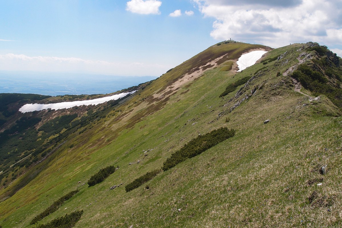 img00015.jpg