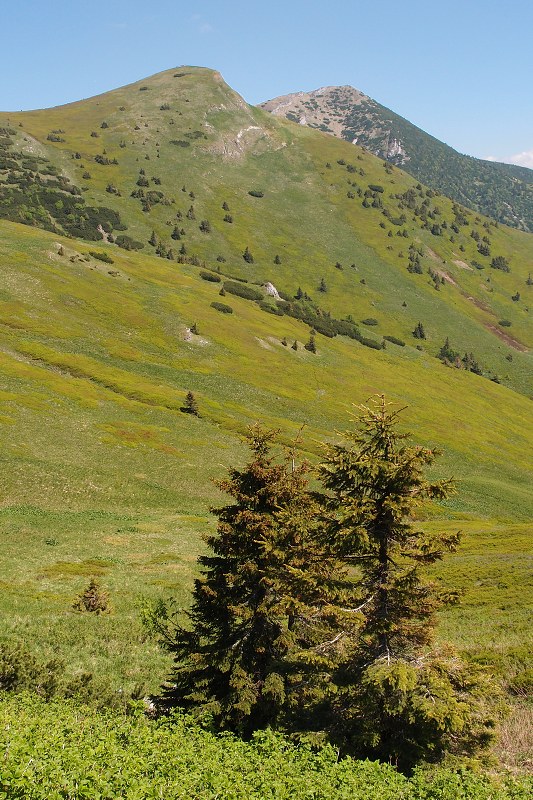 img00016.jpg