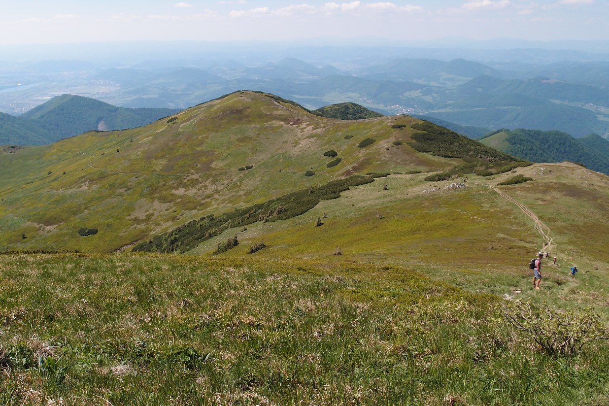 img00018.jpg