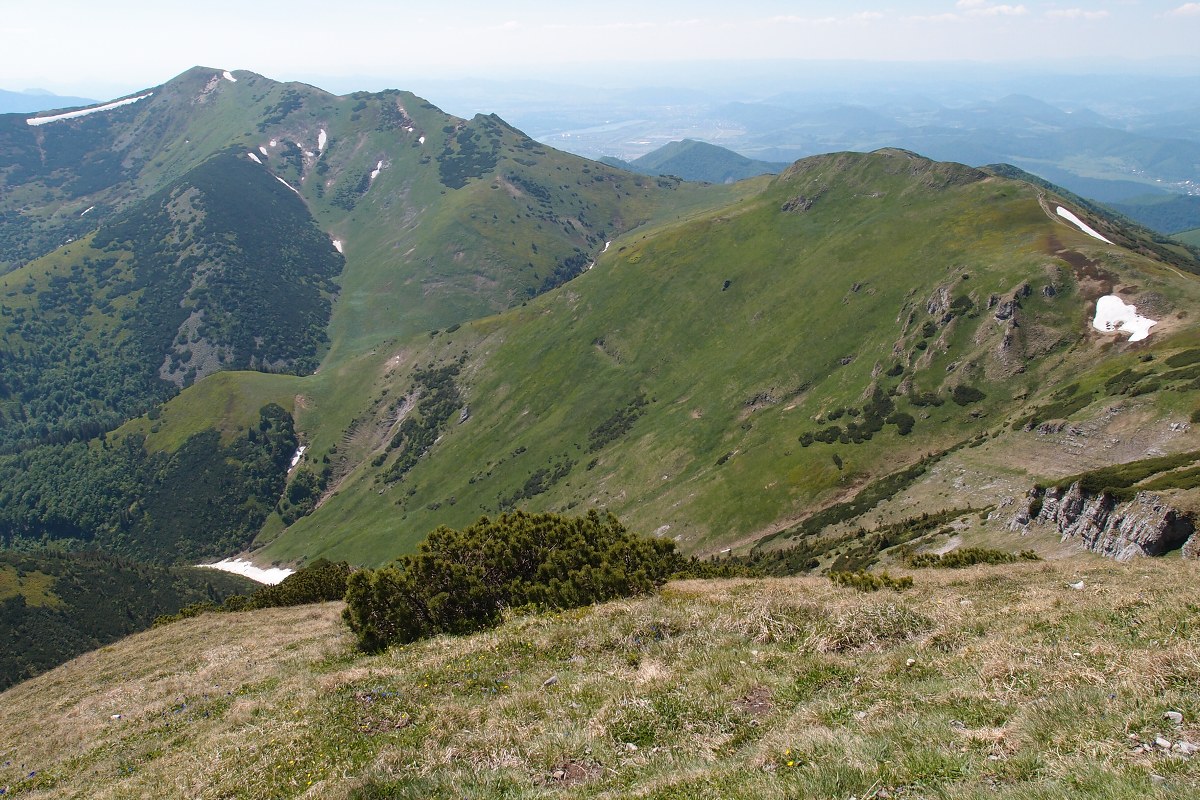 img00021.jpg