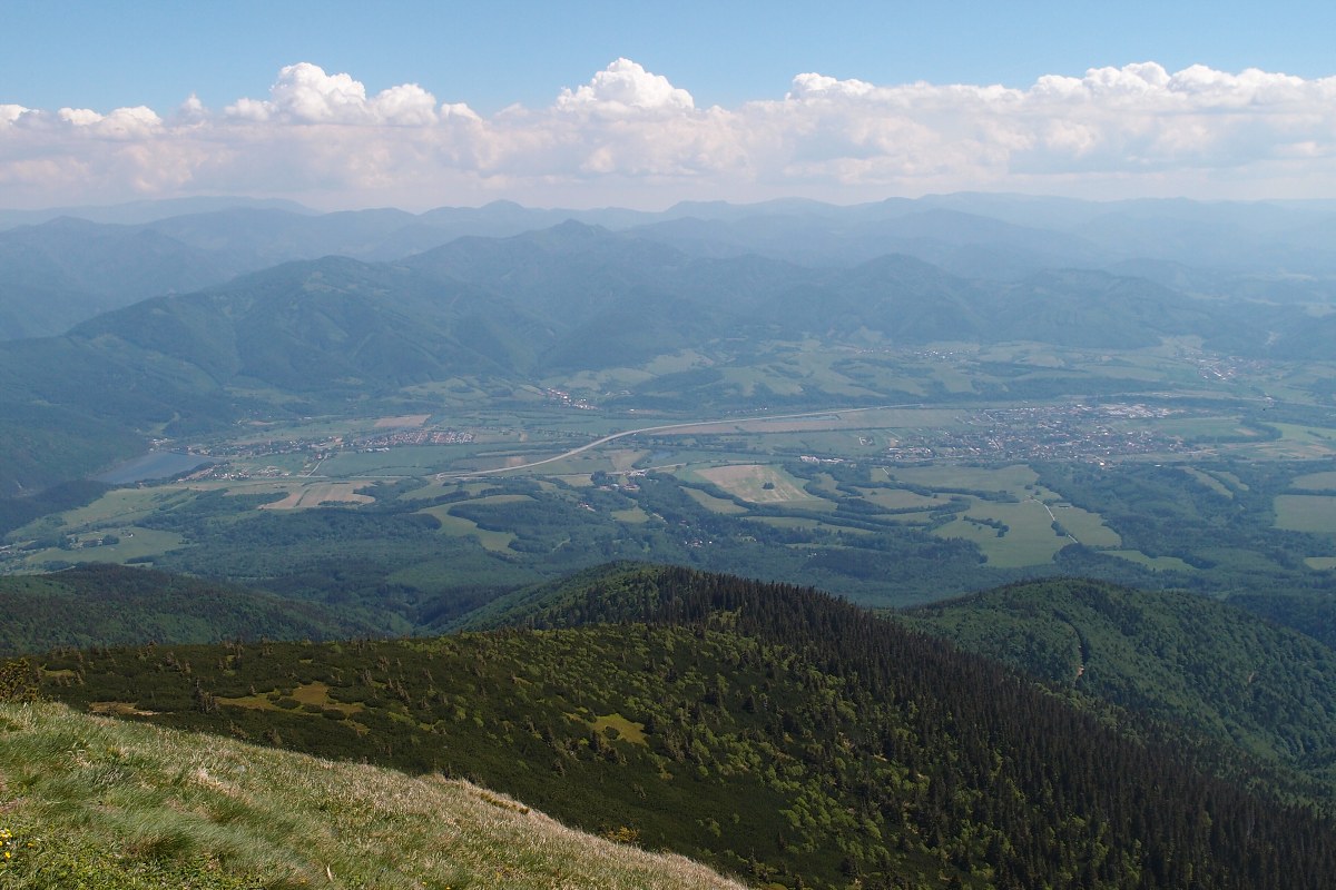 img00022.jpg