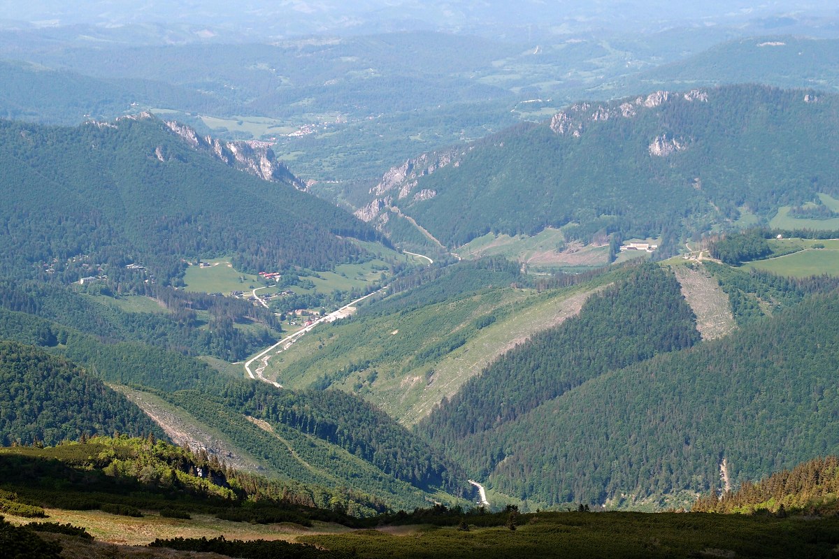 img00025.jpg