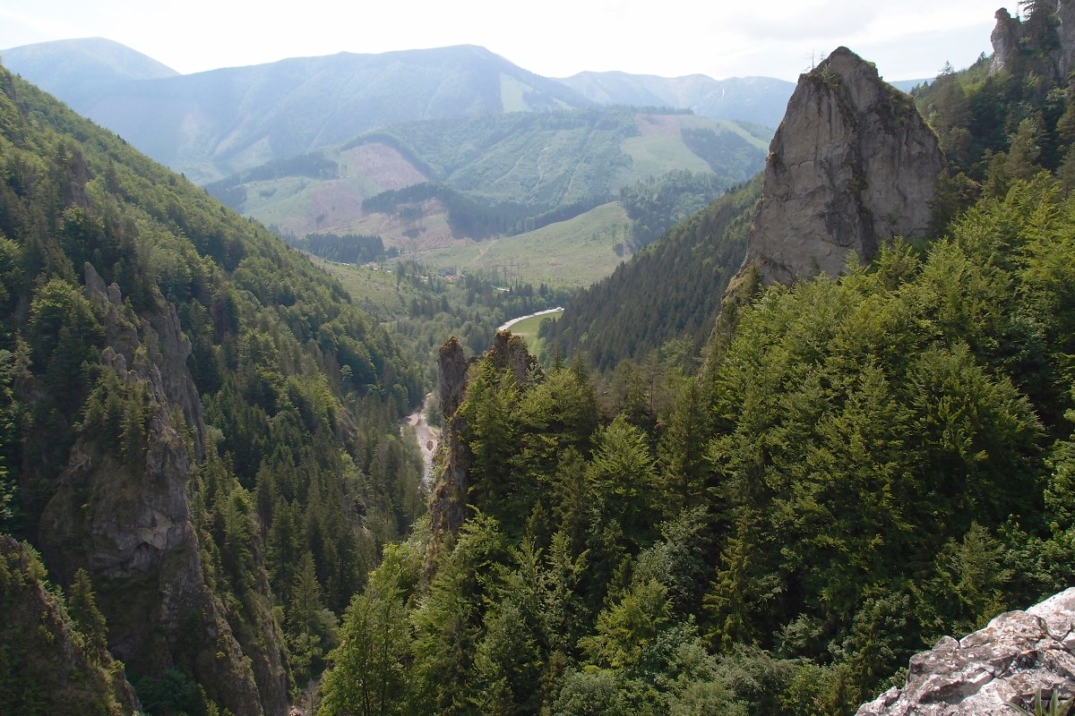 img00003.jpg