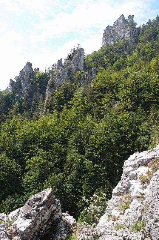 img00004.jpg