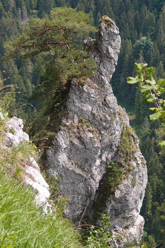 img00005.jpg