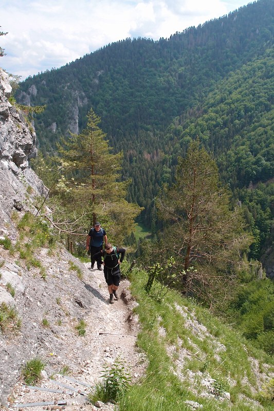 img00006.jpg