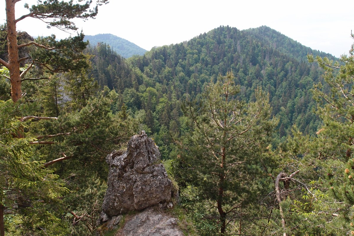 img00007.jpg