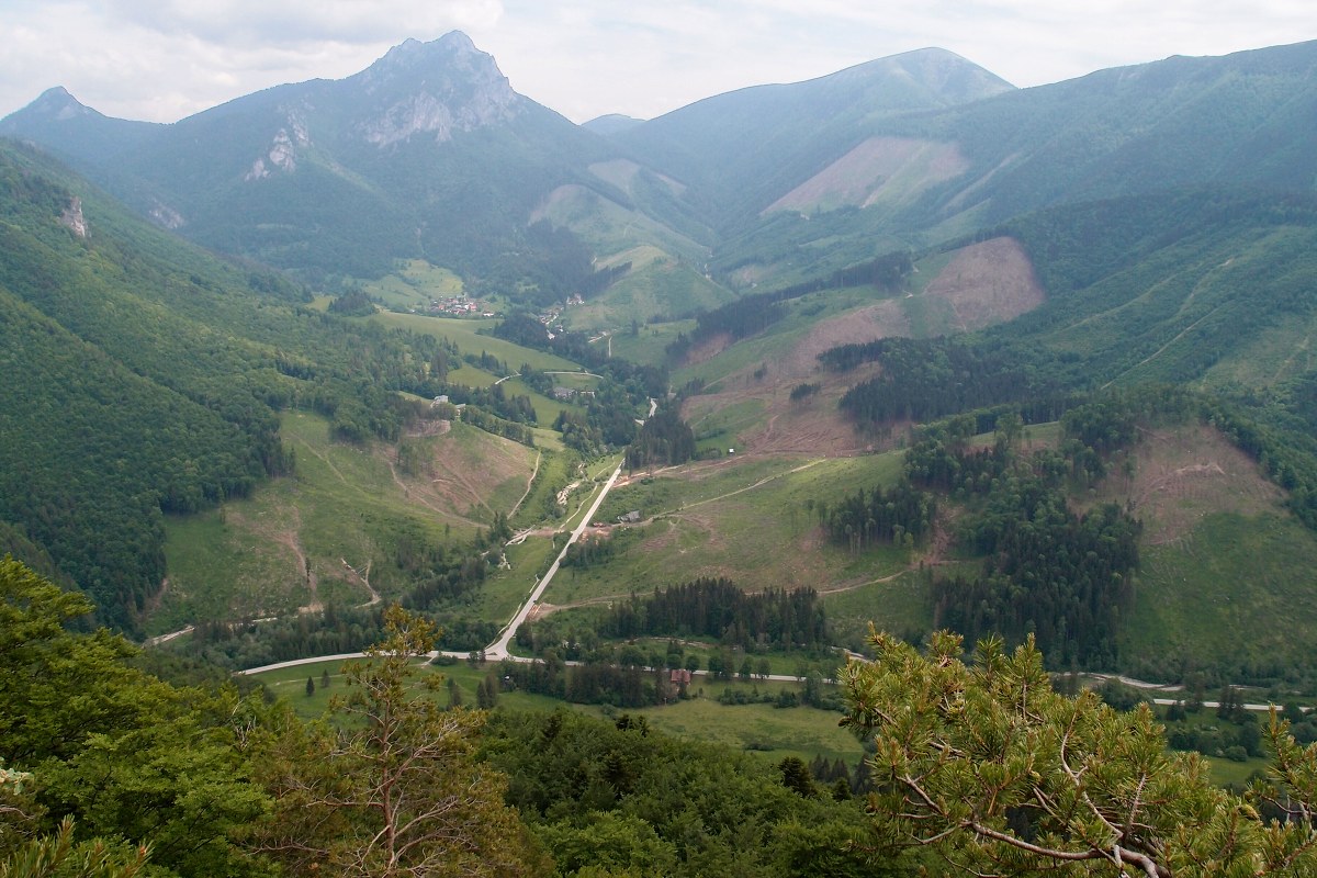 img00009.jpg