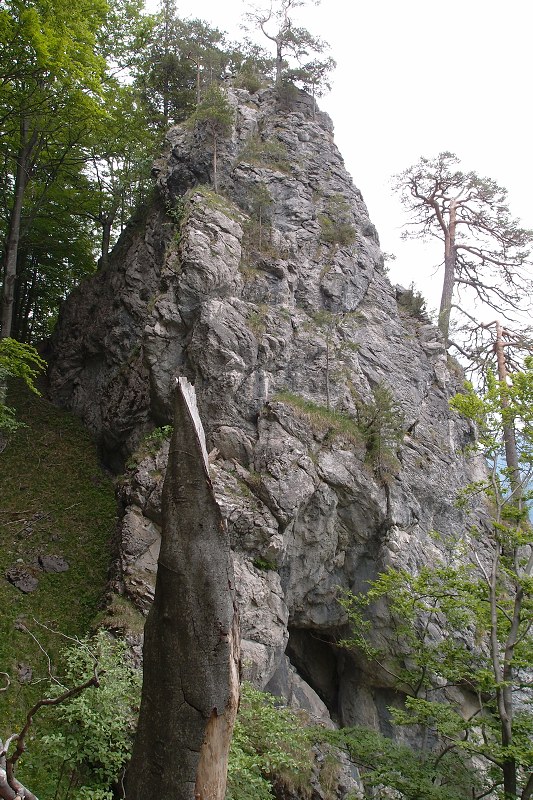 img00012.jpg