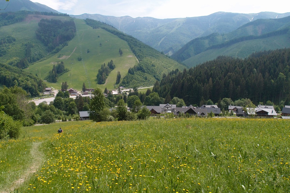 img00013.jpg
