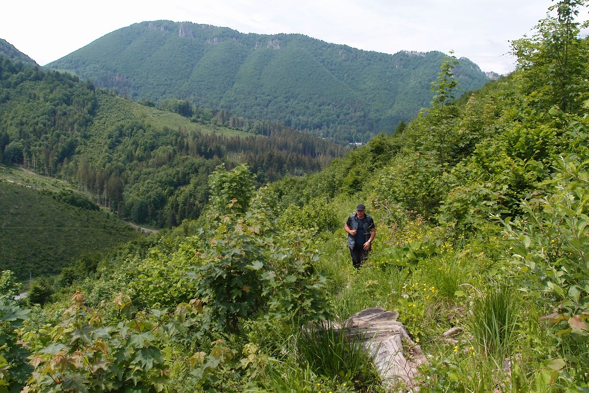 img00014.jpg