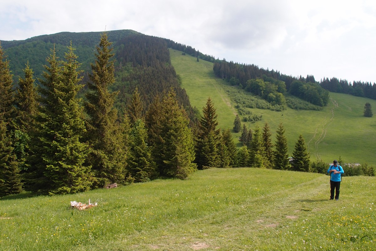img00016.jpg