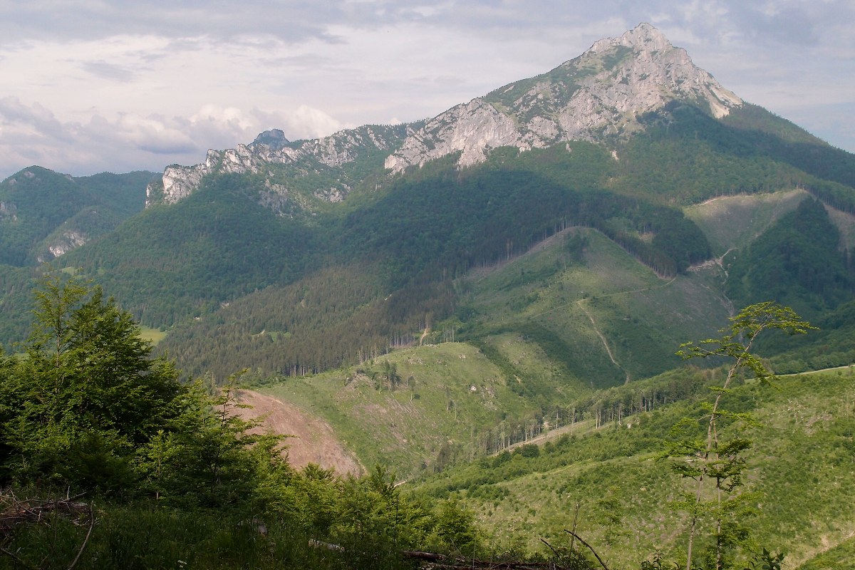 img00017.jpg