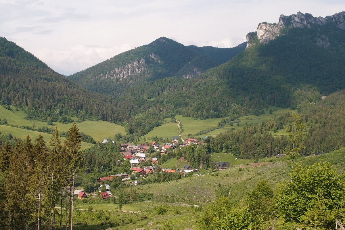 img00020.jpg