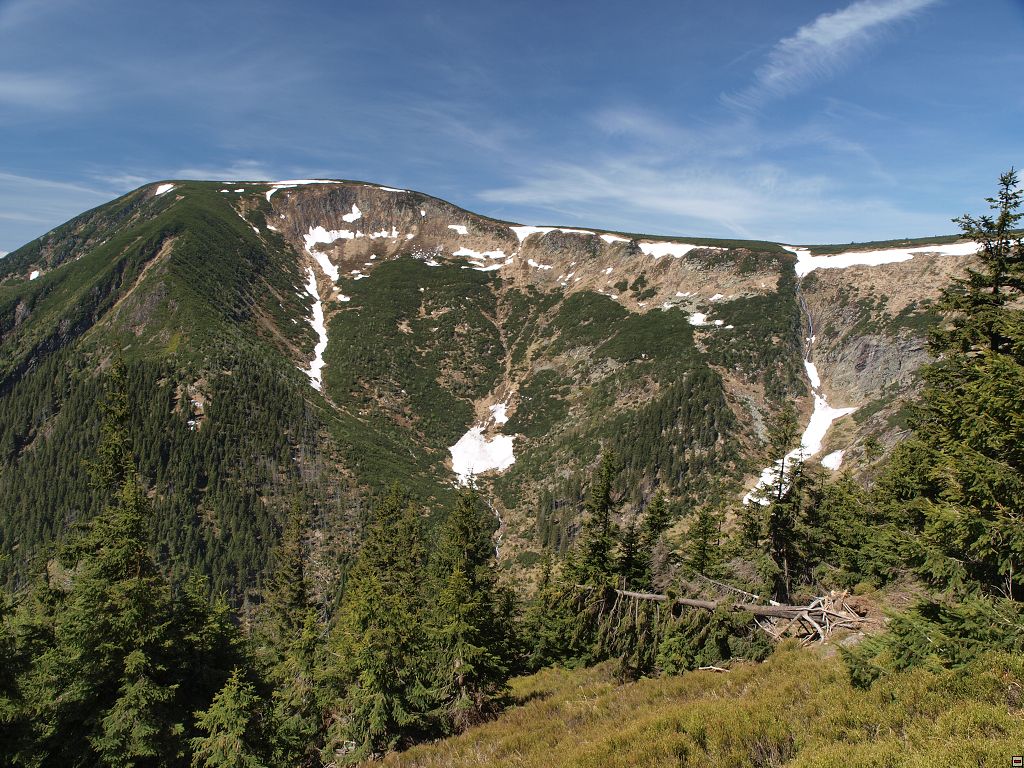 P5179458.jpg