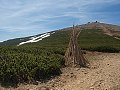 thn_P5179490.jpg