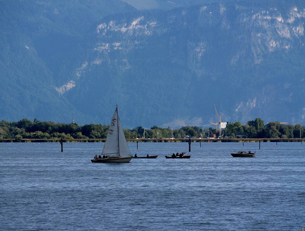 P1013485z.jpg