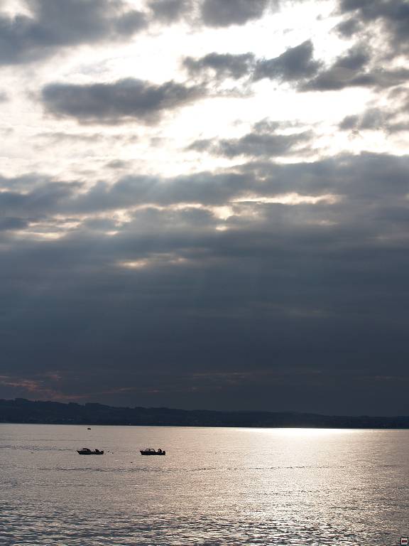 P1013494.jpg