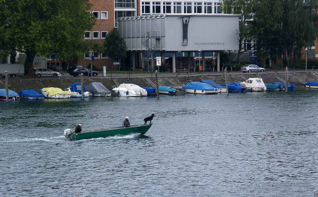 P1013523z.jpg