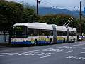 thn_P1013578.jpg