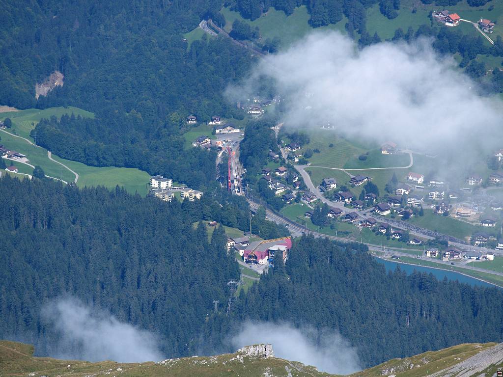 P1013618.jpg