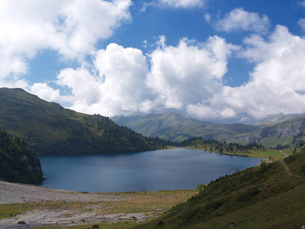 P1013650.jpg