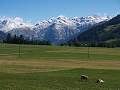 thn_P1013939.jpg