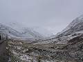 thn_P1013974.jpg