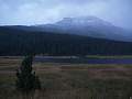 thn_P1014026.jpg
