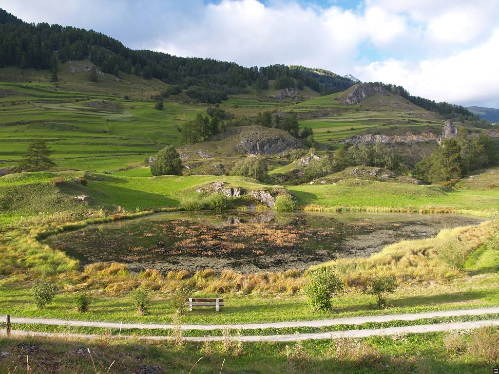 P1014145.jpg